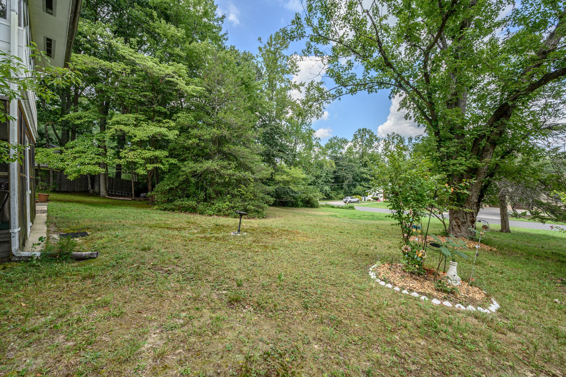 Back garden with a dry, patchy lawn under large trees